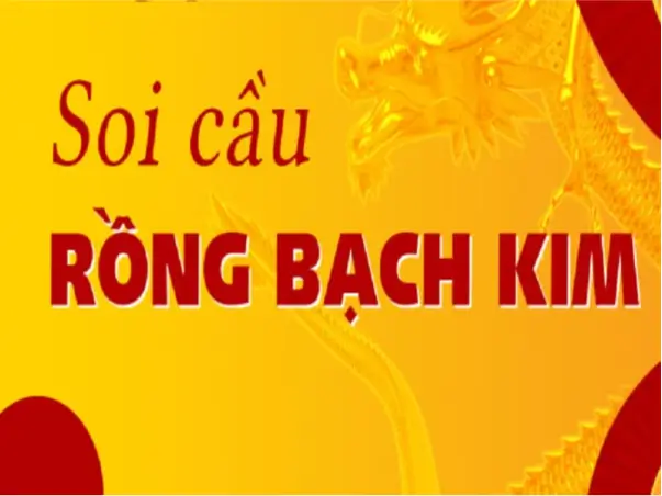 Cách sử dụng Soi Cầu Rồng Bạch Kim